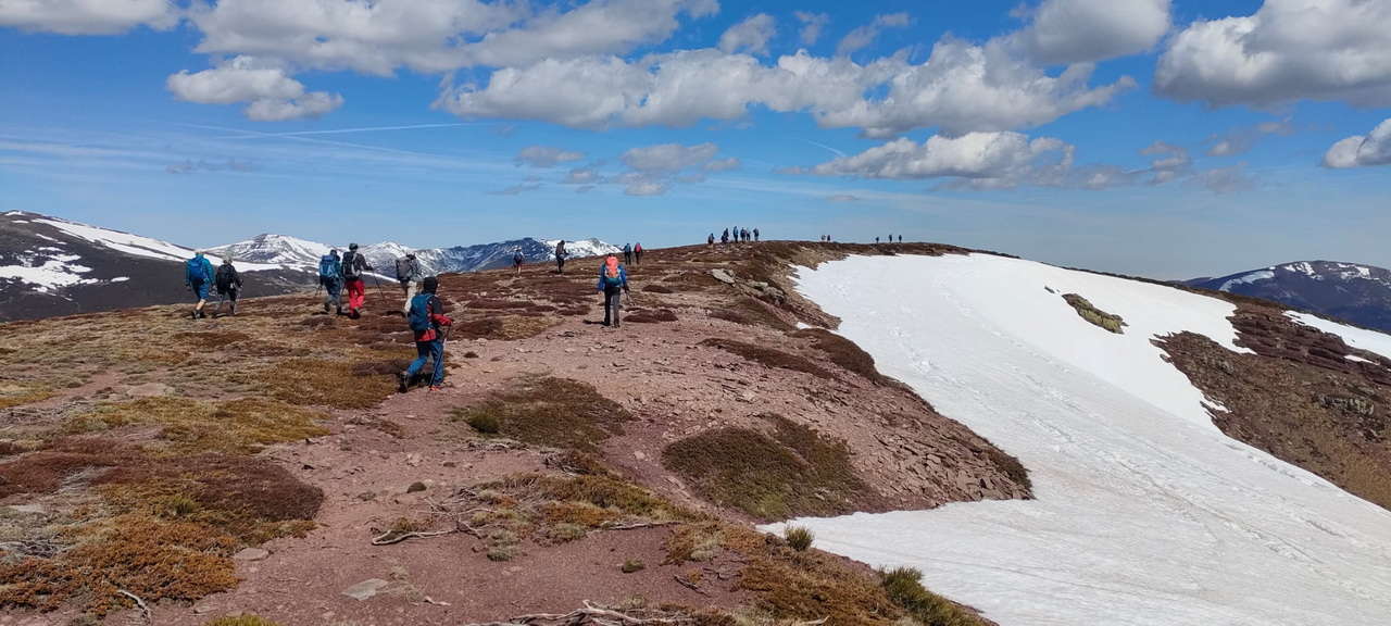 WhatsApp Image 2026-04-08 at 07.40.54 (6)